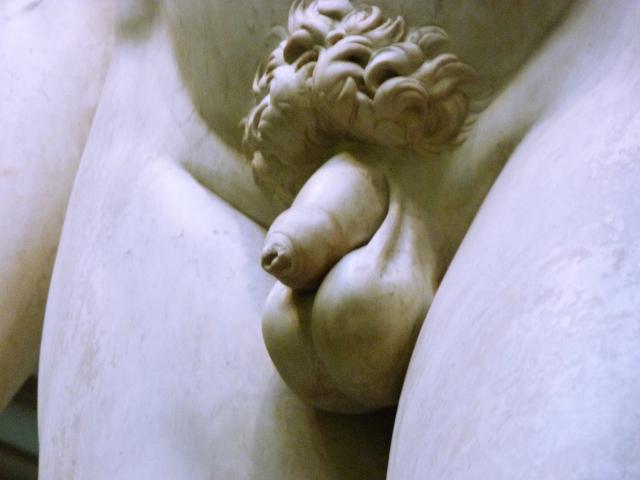 image Escultura David de Miguel Ángel 