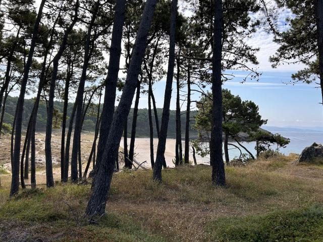 image Playa de Melide