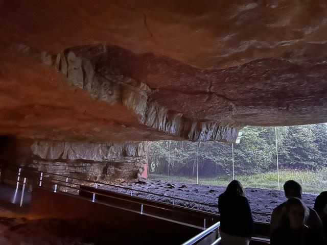 image Interior de la Cueva de Altamira