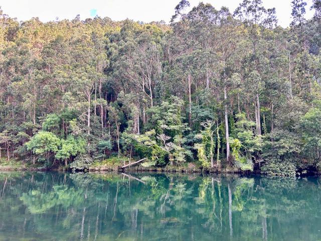 image Parque Natural Fragas del Eume, Puentedeume (A Coruña)