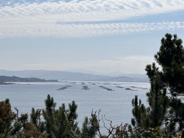image Bateas en la ría de Vigo