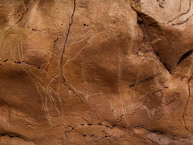 image Bisonte cueva Altamira