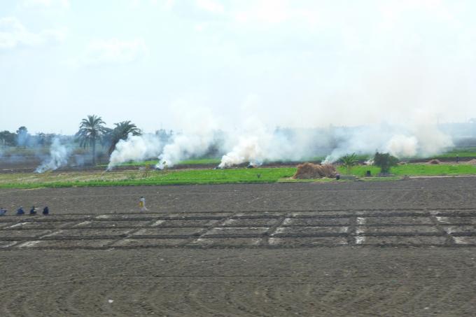 image Quema de cultivo