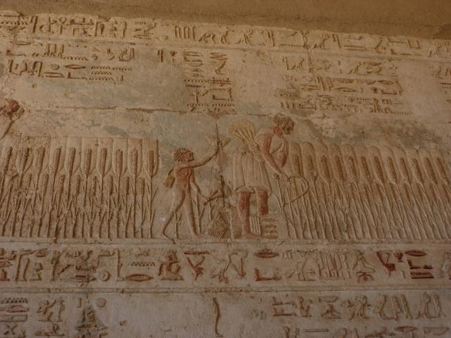 image Relieves de la cosecha