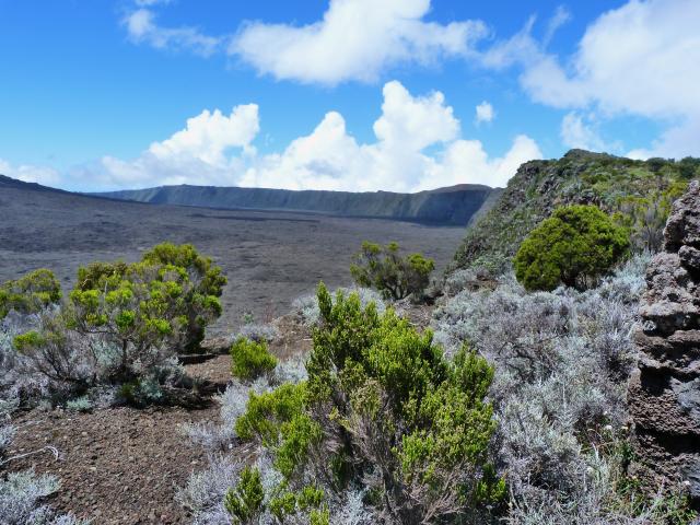 image Paisaje de un volcán en Reunión (Francia)