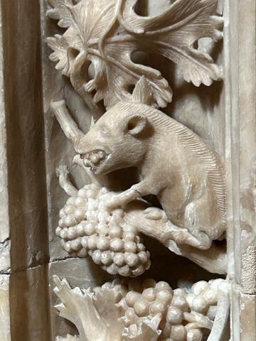 image Relieve de Jabalí 