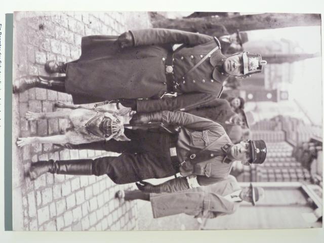 image Museo topografía del terror