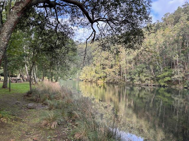 image Parque Natural Fragas del Eume, Puentedeume (A Coruña)