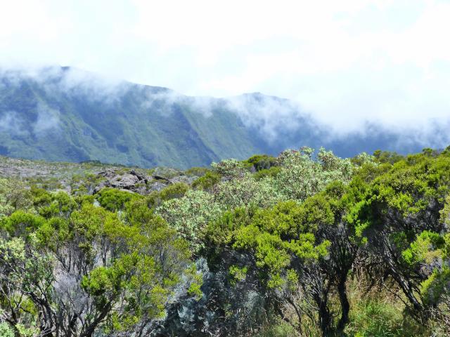 image Montañas de Reunión (Francia)