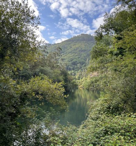 image Parque Natural Fragas del Eume, Puentedeume (A Coruña)