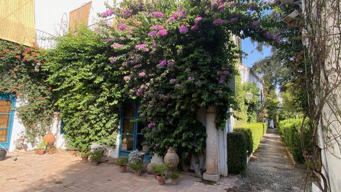 image Patio del Palacio de Viana