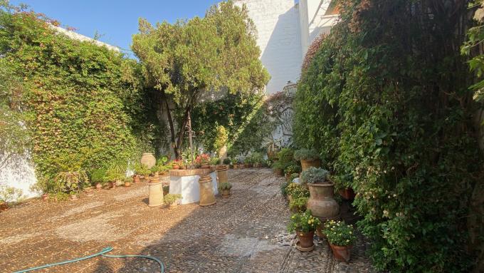 Patios del palacio de Viana