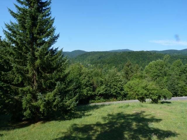 image Bosque de Plitvice