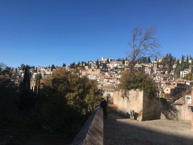 image El Albaicín de Granada