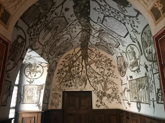 image Frescos en la universidad de Vilnius