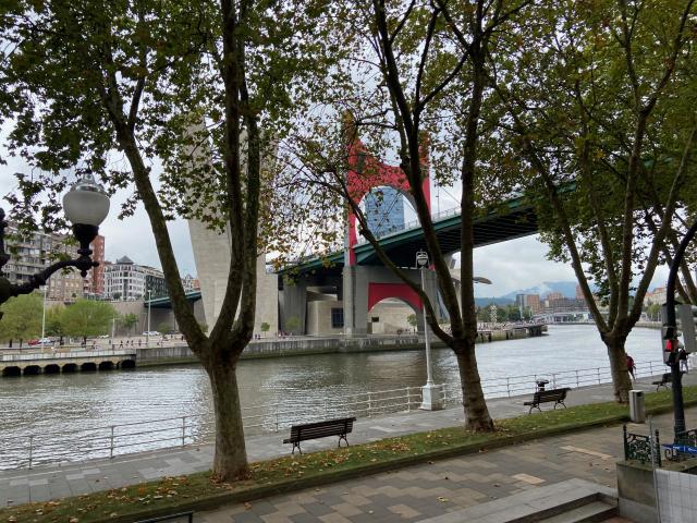 image El puente Salbeko Zubia