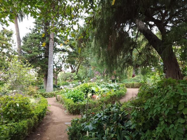 Jardín botánico en Tenerife