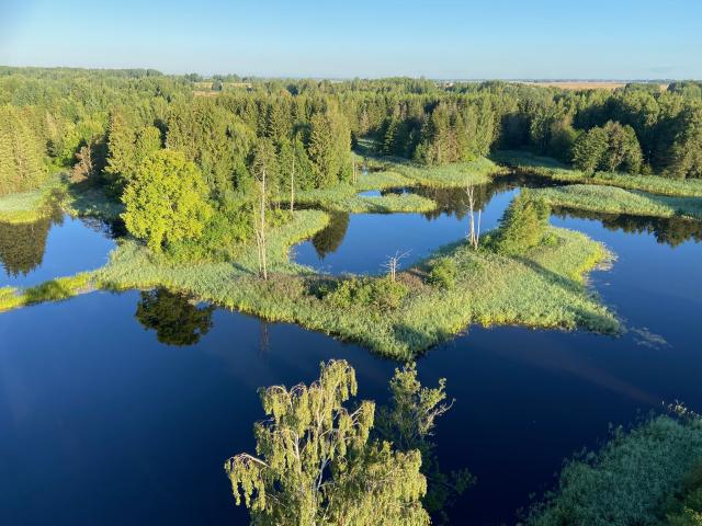 image Parque regional de Biržai, Lituania.
