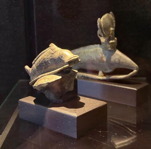 image Delfín Egipcio 