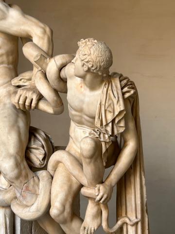 image Laocoonte y sus hijos 