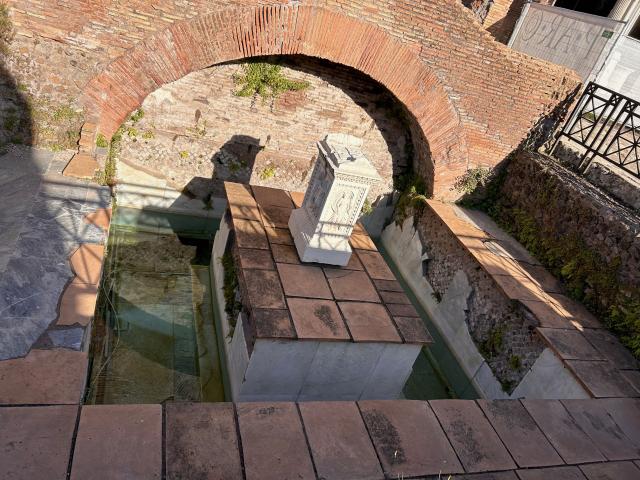 image Fuente de Juturna, Foro Romano, Roma (Italia)