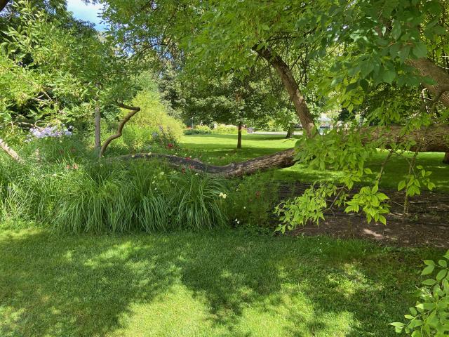 image Jardín Bernardino