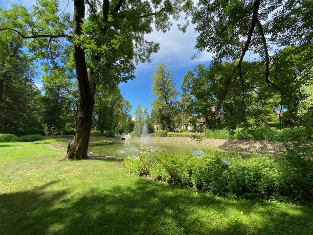 image Jardín Bernardino