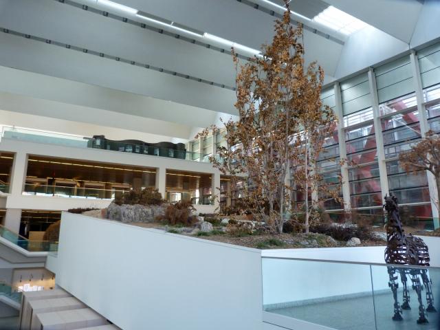 image Museo de la Evolución Humana de Burgos