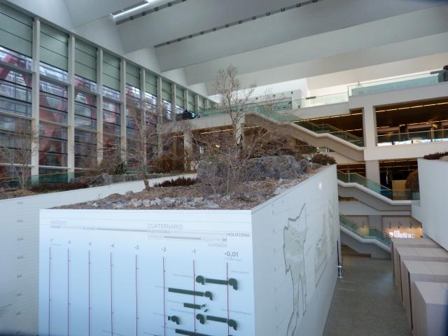 image Museo de la Evolución Humana de Burgos