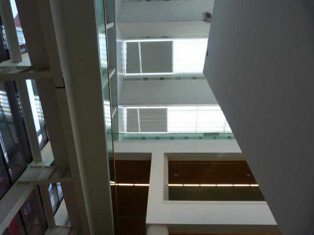 image Museo de la Evolución Humana de Burgos