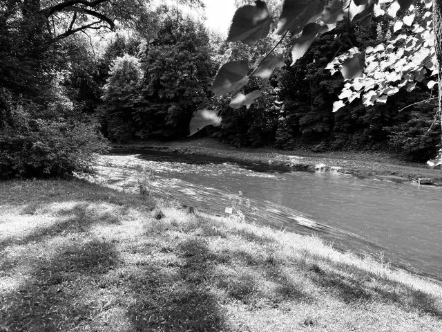 image Parque Kalny en Vilnius