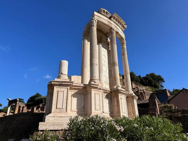 image Templo de Vesta, Foro Romano, Roma (Italia)