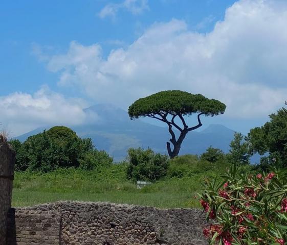 image Monte Vesubio