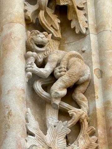 image Figura drágón en la fachada Catedral Nueva (Salamanca)