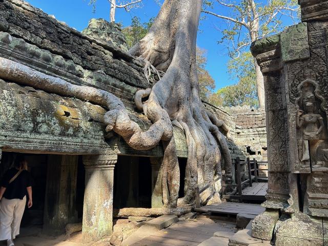 image Templo de Ta Prohm 