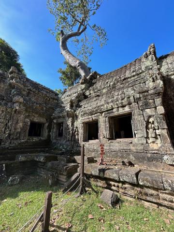 image Templo de Ta Prohm