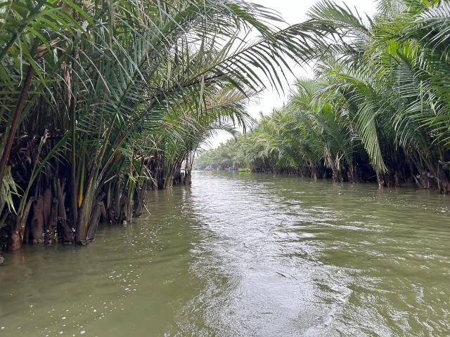 image Jungla y el rio Thu Bon en Hoi An