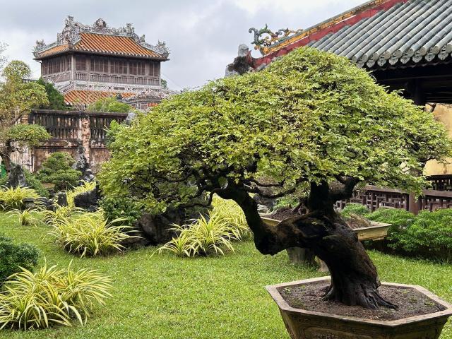 image Jardin Thieu Phuong de la ciudad imperial de Hué