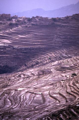 image Laderas aterrazadas en las proximidades de Kohlan, Yemen