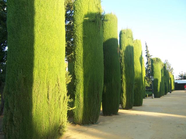 image Jardines del Alcázar de los Reyes Cristianos, Córdoba