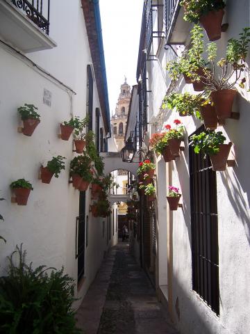 image Calle de las Flores, Córdoba
