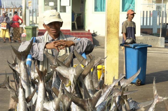 image Transportando pescado en el puerto de Jakarta, Indonesia