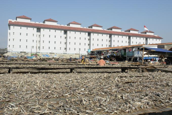 image Secaderos de pescado en el puerto de Muara Angke, Yakarta, Indonesia