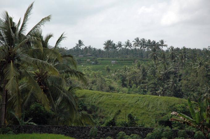 image Paisaje balinés, Indonesia