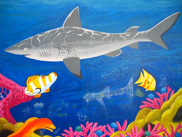 image Grafiti en la pared del Acuarium del Maremagnum, Barcelona