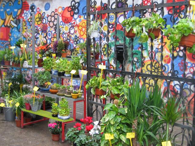 image Grafiti en el mercado de Sant Antoni, Barcelona