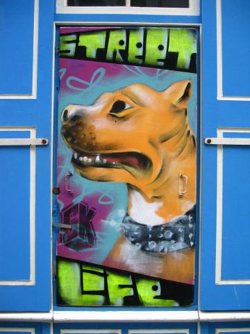 image Grafiti en Laval, Francia