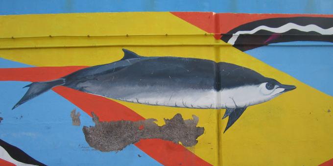 image Grafiti en Puerto de los Cristianos, Tenerife