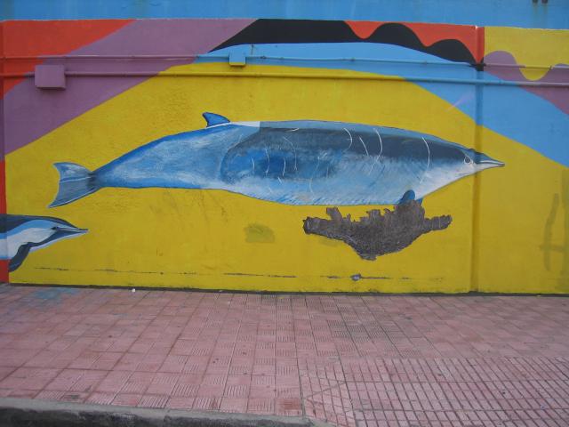 image Grafiti en Puerto de los Cristianos, Tenerife