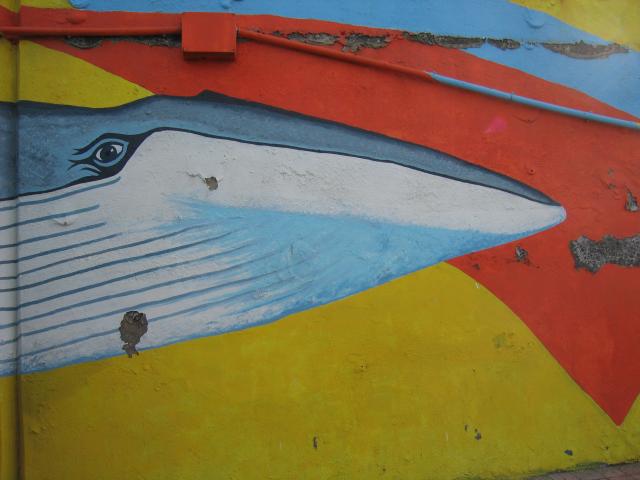 image Grafiti en Puerto de los Cristianos, Tenerife